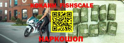 гашик Донской