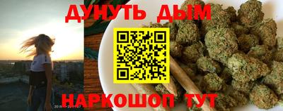 гашик Донской