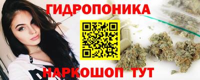 гашик Донской