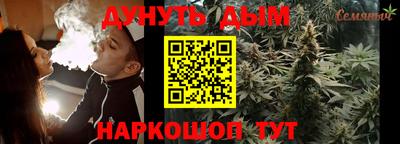 гашик Донской