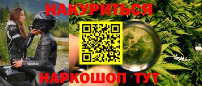 гашик Донской