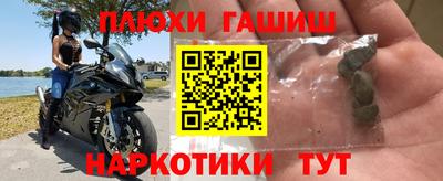 гашик Донской