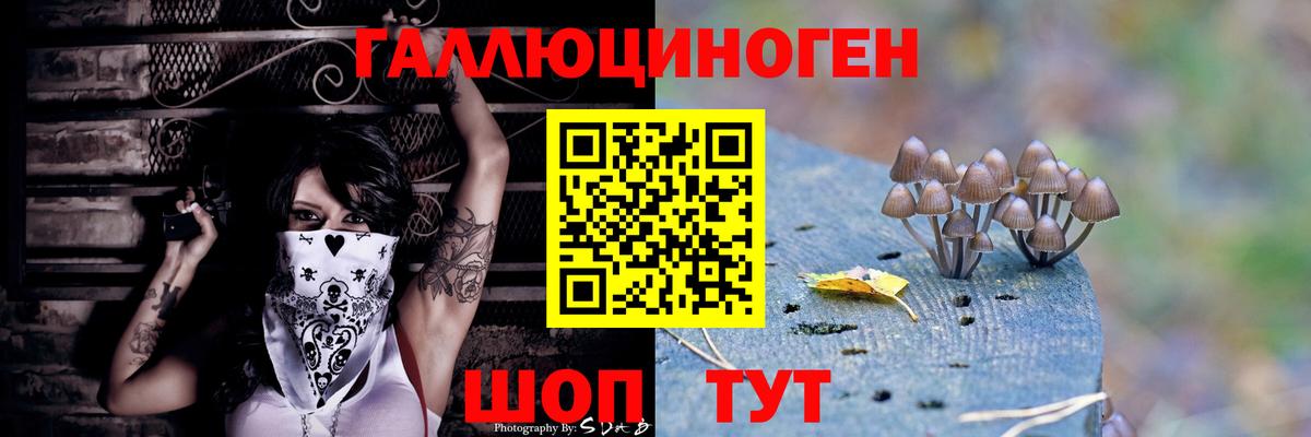 Галлюциногенные грибы мухоморы Краснокаменск